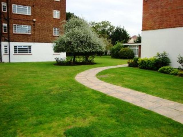 			SPACIOUS APARTMENT, 3 Bedroom, 1 bath, 1 reception Flat			 Willesden Lane, WILLESDEN GREEN